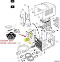 30 Amp Dual Link Fuse for golf cart